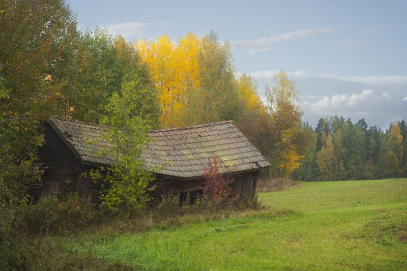 Roof Flashing in Autumn